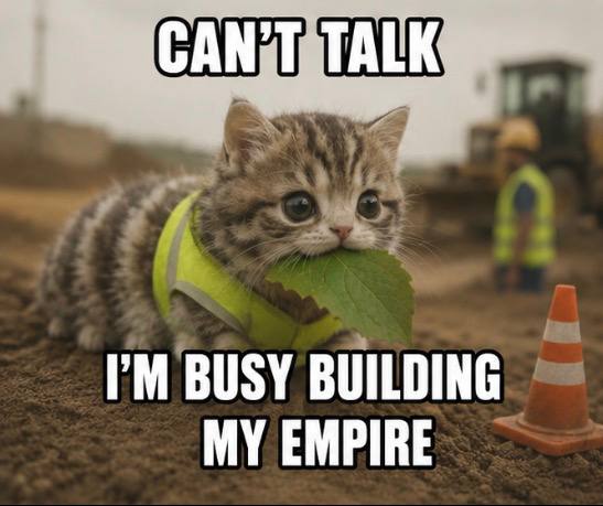 Meme: the CATerpillar in a hi-vis vest at a construction site. Caption: can't talk, I'm busy building my empire.